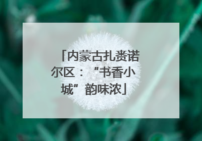 内蒙古扎赉诺尔区：“书香小城”韵味浓