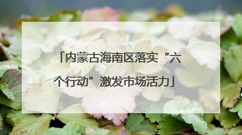 内蒙古海南区落实“六个行动”激发市场活力