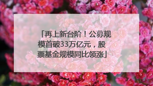 再上新台阶！公募规模首破33万亿元，股票基金规模同比领涨