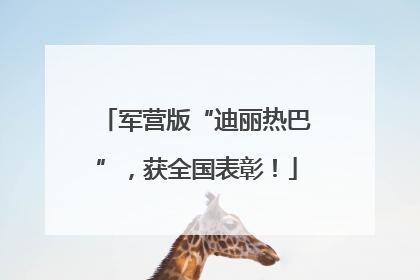 军营版“迪丽热巴”，获全国表彰！