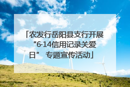 农发行岳阳县支行开展“6·14信用记录关爱日” 专题宣传活动
