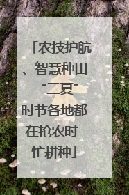 农技护航、智慧种田 “三夏”时节各地都在抢农时 忙耕种