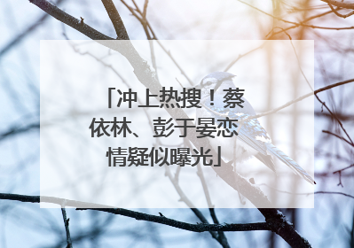 冲上热搜！蔡依林、彭于晏恋情疑似曝光