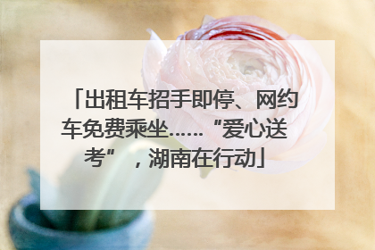 出租车招手即停、网约车免费乘坐……“爱心送考”，湖南在行动