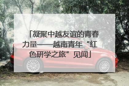 凝聚中越友谊的青春力量——越南青年“红色研学之旅”见闻