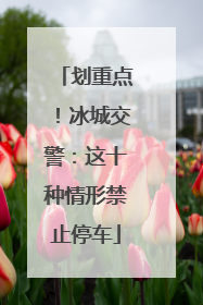 划重点！冰城交警：这十种情形禁止停车