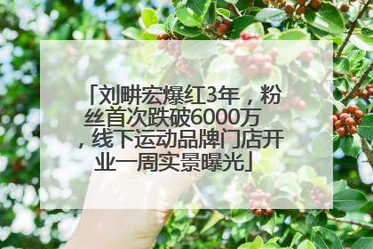 刘畊宏爆红3年，粉丝首次跌破6000万，线下运动品牌门店开业一周实景曝光