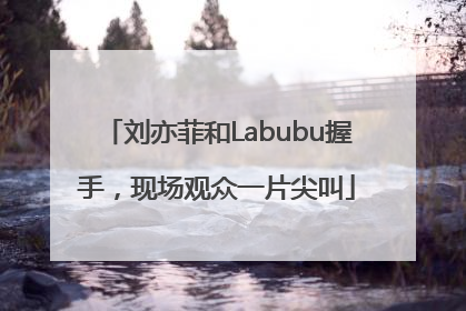 刘亦菲和Labubu握手，现场观众一片尖叫