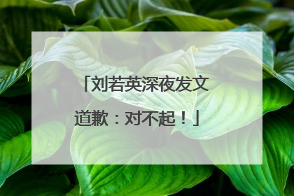 刘若英深夜发文道歉：对不起！