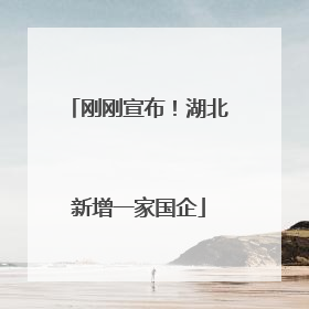 刚刚宣布！湖北新增一家国企