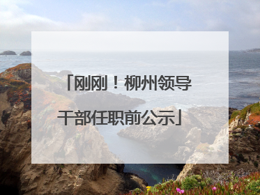 刚刚！柳州领导干部任职前公示