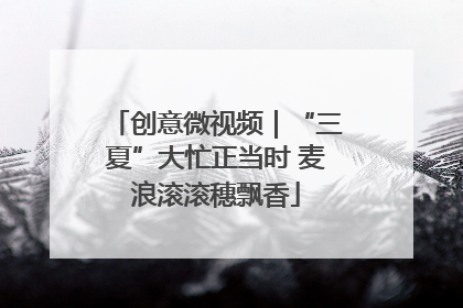 创意微视频｜“三夏”大忙正当时 麦浪滚滚穗飘香