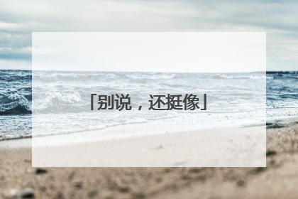 别说，还挺像