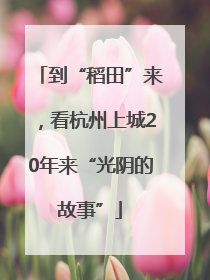 到“稻田”来，看杭州上城20年来“光阴的故事”