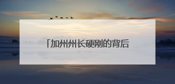 加州州长硬刚的背后：模仿特朗普对抗特朗普，打算2028年成为“特朗普”