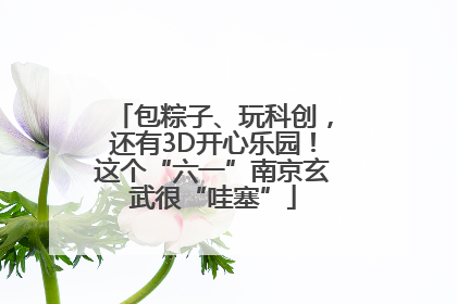包粽子、玩科创，还有3D开心乐园！这个“六一”南京玄武很“哇塞”