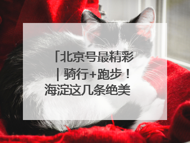 北京号最精彩｜骑行+跑步！海淀这几条绝美路线不容错过