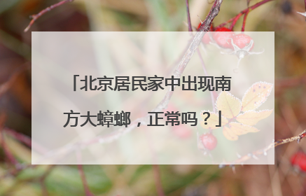 北京居民家中出现南方大蟑螂，正常吗？
