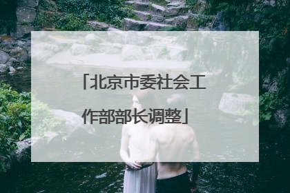 北京市委社会工作部部长调整