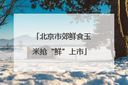 北京市郊鲜食玉米抢“鲜”上市