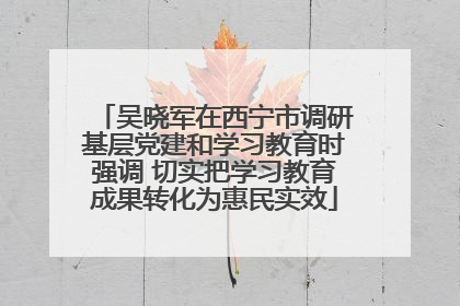 吴晓军在西宁市调研基层党建和学习教育时强调 切实把学习教育成果转化为惠民实效