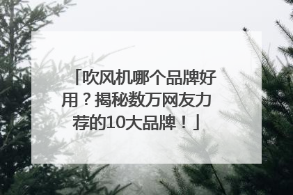 吹风机哪个品牌好用？揭秘数万网友力荐的10大品牌！