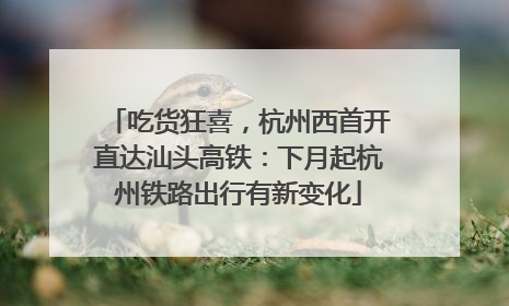 吃货狂喜，杭州西首开直达汕头高铁：下月起杭州铁路出行有新变化