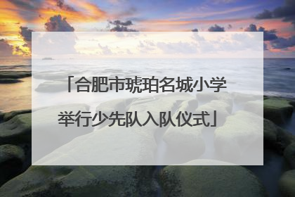 合肥市琥珀名城小学举行少先队入队仪式