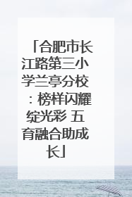 合肥市长江路第三小学兰亭分校：榜样闪耀绽光彩 五育融合助成长
