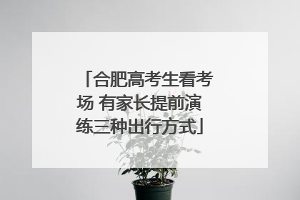 合肥高考生看考场 有家长提前演练三种出行方式