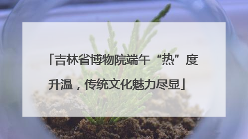 吉林省博物院端午“热”度升温，传统文化魅力尽显
