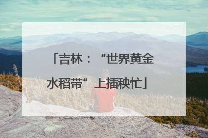 吉林：“世界黄金水稻带”上插秧忙