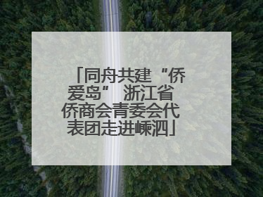 同舟共建“侨爱岛” 浙江省侨商会青委会代表团走进嵊泗