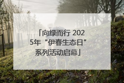 向绿而行 2025年“伊春生态日”系列活动启幕