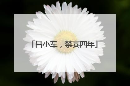 吕小军，禁赛四年