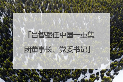 吕智强任中国一重集团董事长、党委书记