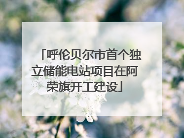 呼伦贝尔市首个独立储能电站项目在阿荣旗开工建设