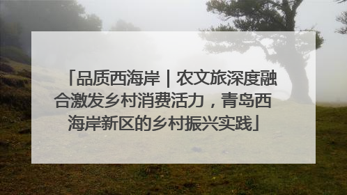 品质西海岸｜农文旅深度融合激发乡村消费活力，青岛西海岸新区的乡村振兴实践
