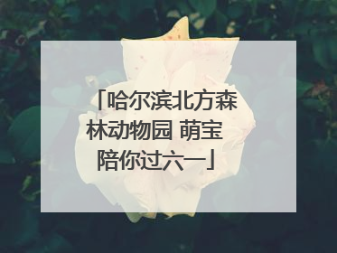 哈尔滨北方森林动物园 萌宝陪你过六一