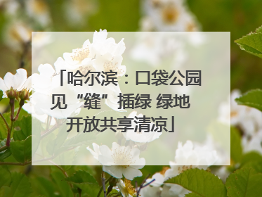 哈尔滨：口袋公园见“缝”插绿 绿地开放共享清凉