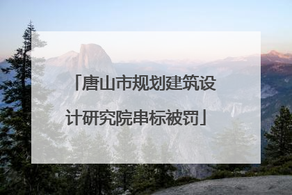 唐山市规划建筑设计研究院串标被罚