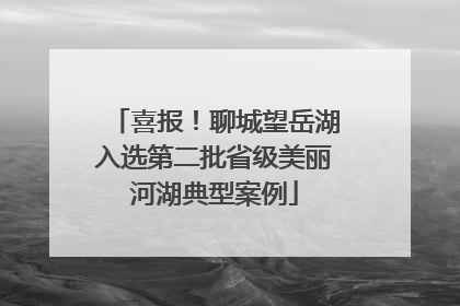 喜报！聊城望岳湖入选第二批省级美丽河湖典型案例