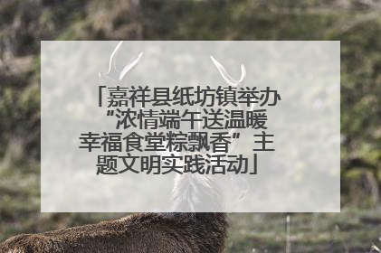 嘉祥县纸坊镇举办“浓情端午送温暖 幸福食堂粽飘香”主题文明实践活动