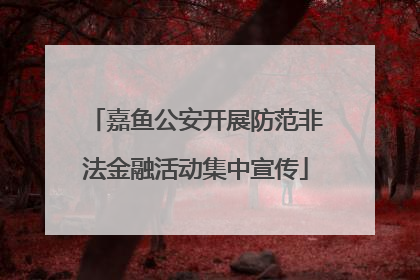 嘉鱼公安开展防范非法金融活动集中宣传