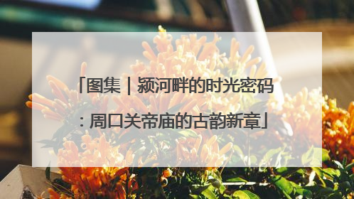 图集｜颍河畔的时光密码：周口关帝庙的古韵新章