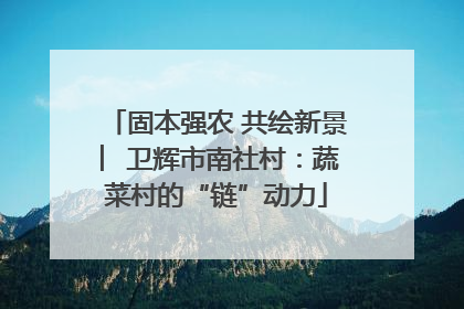 固本强农 共绘新景 ︳卫辉市南社村：蔬菜村的“链”动力