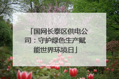 国网长泰区供电公司：守护绿色生产赋能世界环境日