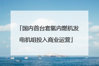 国内首台套氢内燃机发电机组投入商业运营
