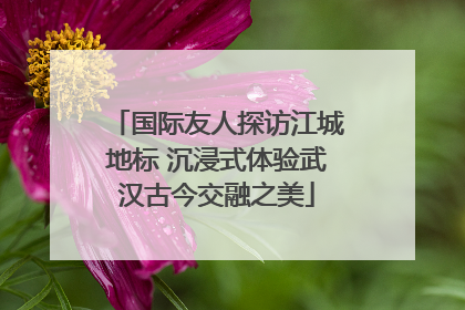 国际友人探访江城地标 沉浸式体验武汉古今交融之美