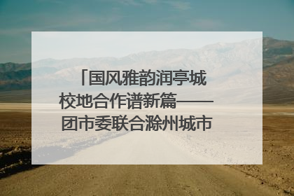 国风雅韵润亭城 校地合作谱新篇——团市委联合滁州城市职业学院助力传统文化“破圈”绽放